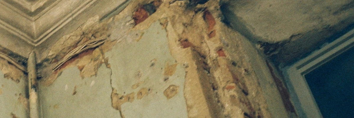 Mold Inspection in Baltimore