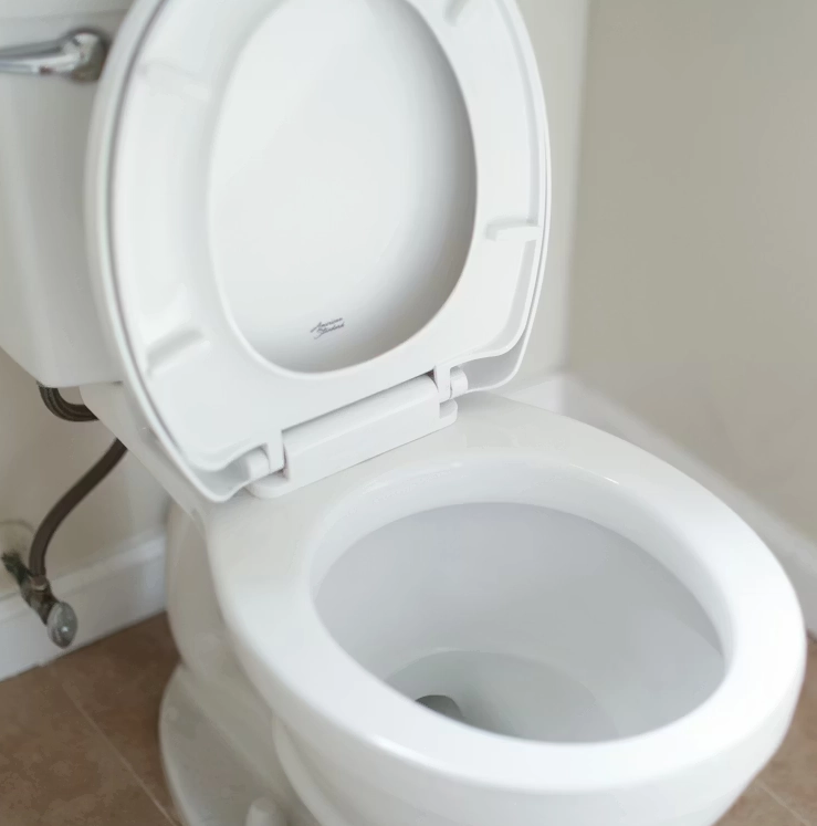 A toilet, source for sewage damage during an overflow